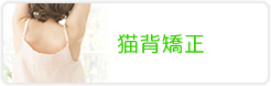 猫背矯正